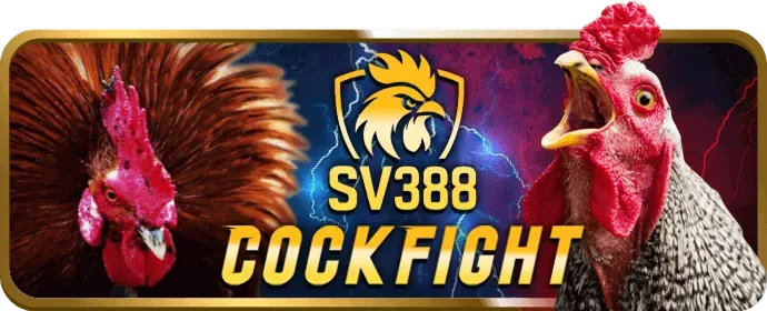 Ưu đãi độc quyền 888ae